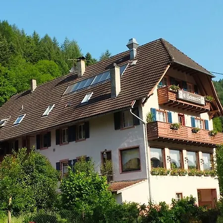 Gasthaus Schwert * 塞尔巴赫