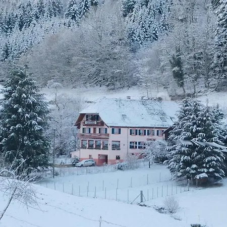 Gasthaus Schwert 塞尔巴赫