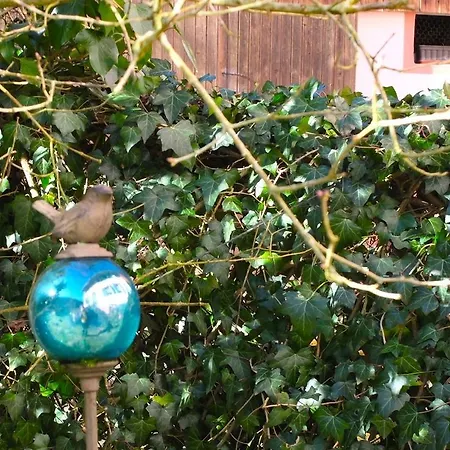 招待所 Gasthaus Schwert 塞尔巴赫