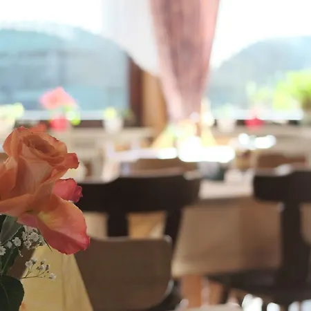 招待所 Gasthaus Schwert