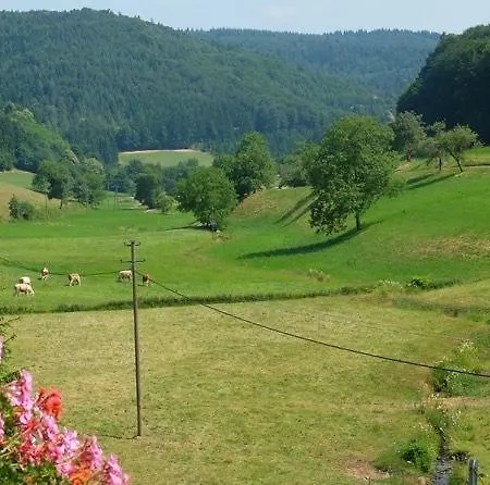 Gasthaus Schwert 招待所 *